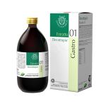 01 GASTRO